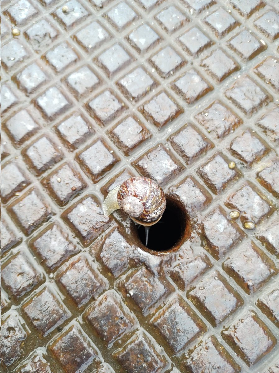 PhilMorcom's tweet photo. A journey to the abyss? https://t.co/VR3z8JnoTd