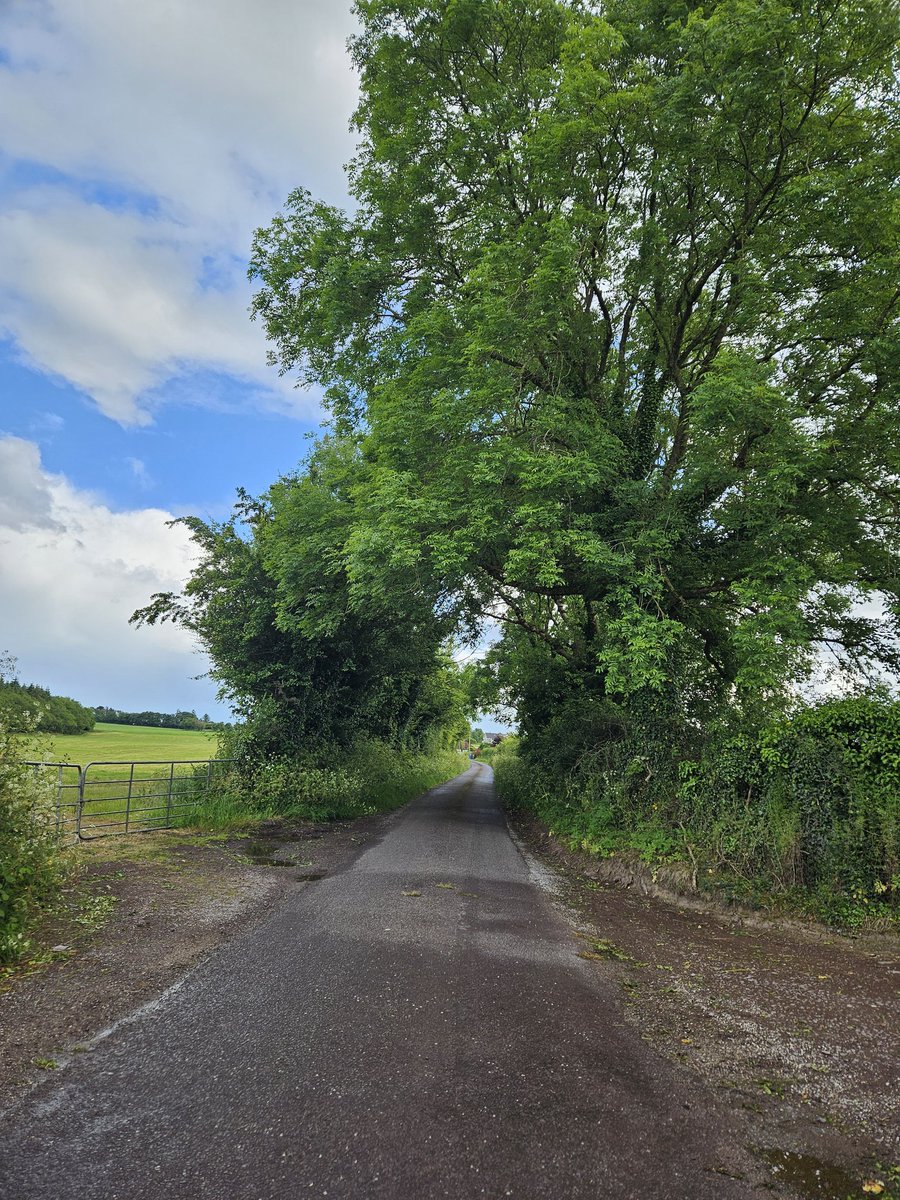 fitzyok's tweet photo. Taréis scrabhadh/cith(shower) trom tráthnóna amach liom ag siúl. Aimsir briste againn is baolach(broken weather, unfortunately). D'fhan sé tirim don siúl(remained dry for walk). Euros ag tosnú Albain Abú(Euros starting Scotland 👏)
#200Daysofwalking
#GaeilgeGachLá
#Juneweather https://t.co/b0C7RLPXhq