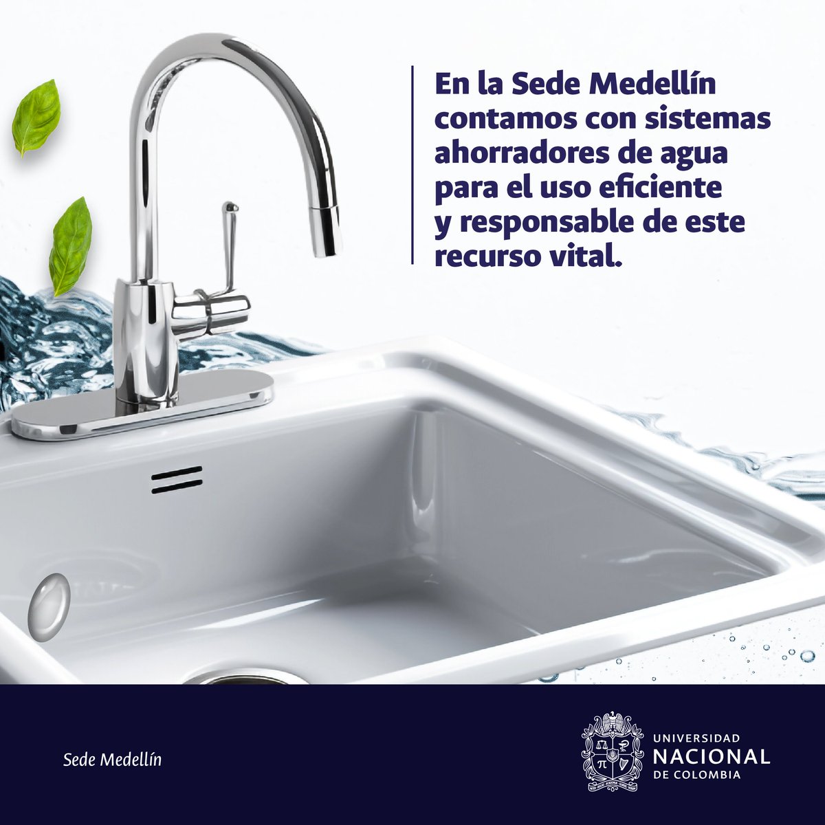 MedellinUNAL's tweet photo. Es simple, se trata de ser conscientes de que habitamos un #CampusSostenible y somos privilegiados al disponer de agua potable para el consumo humano.🔝 🌱                                                                                                   #LaUNALEspacioDeVida https://t.co/fuzW9XFcJJ