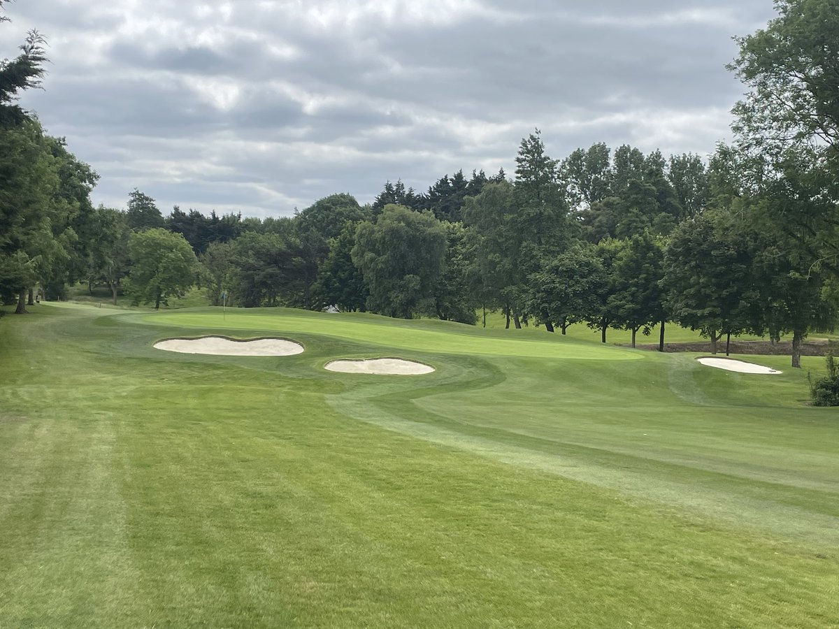 Robby Moore tweet media