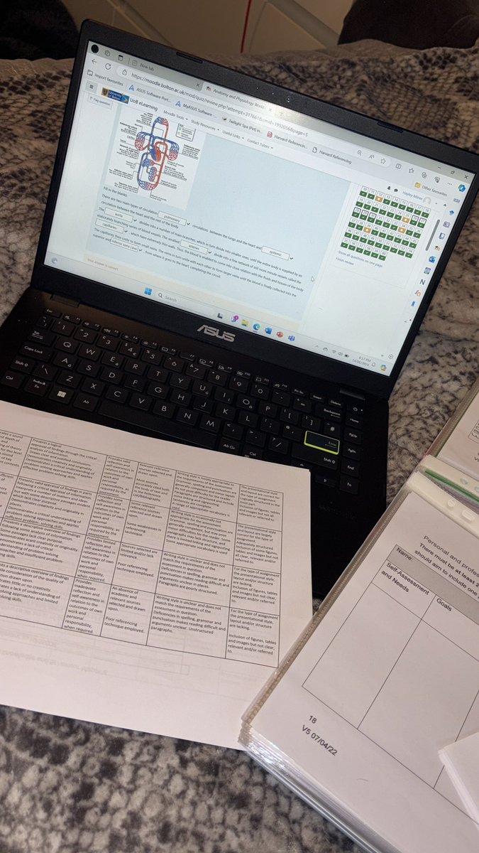 Hayley Birkinshaw tweet media