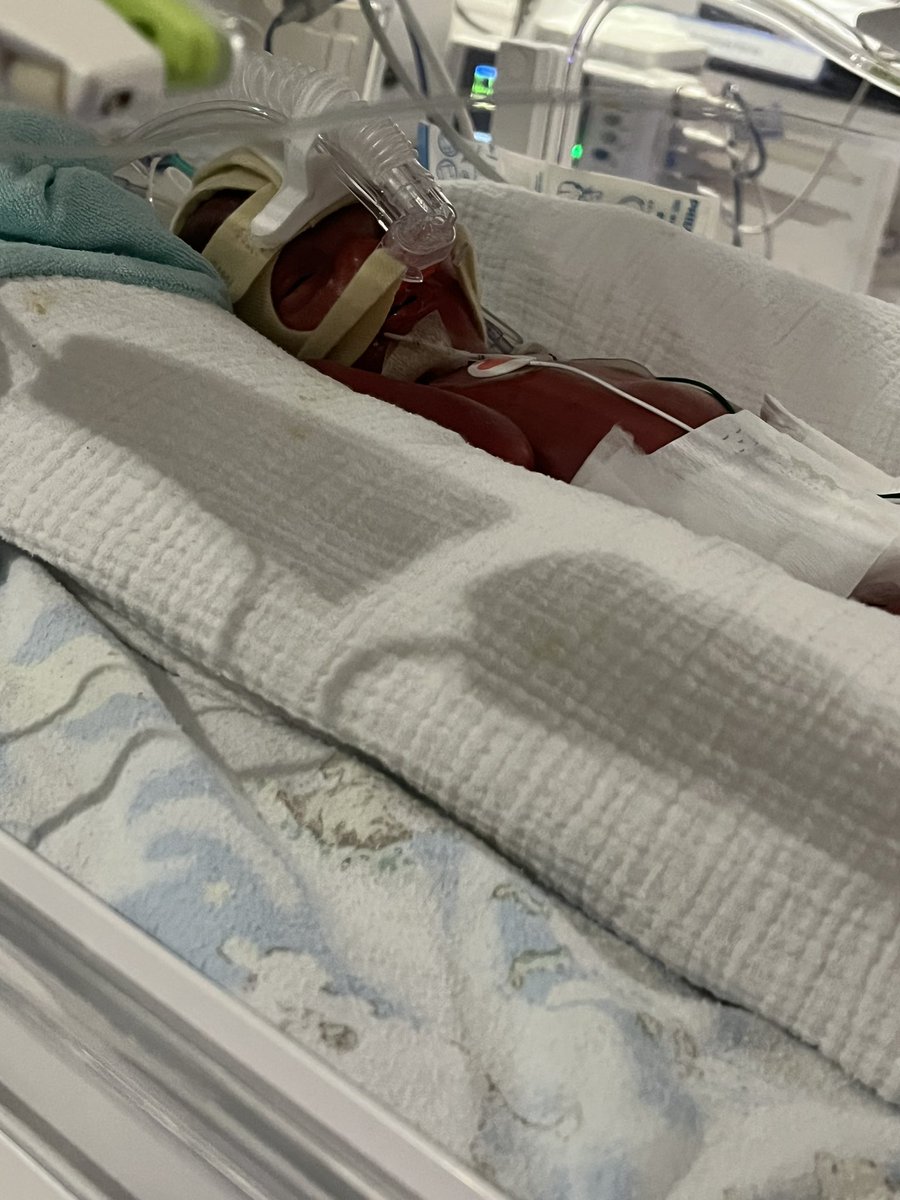 Gethin Jones tweet media