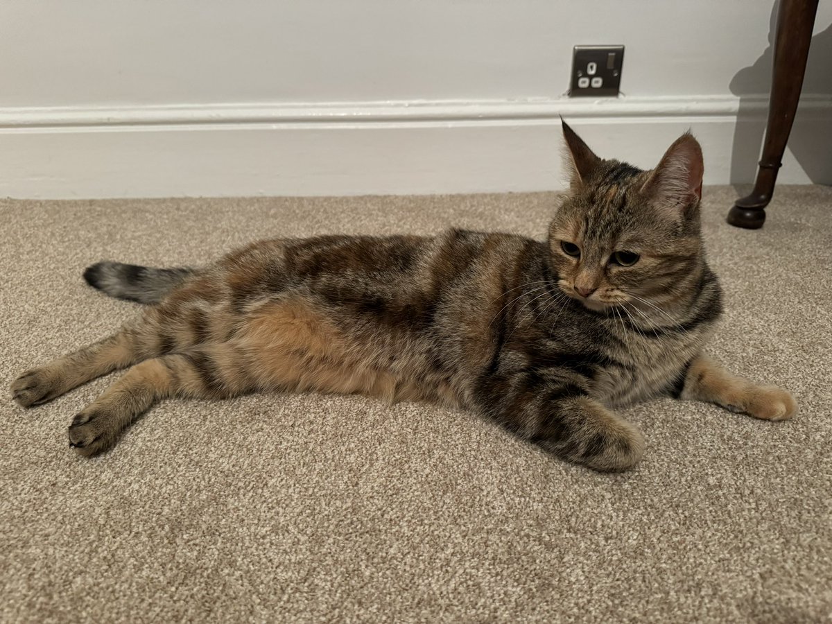 ljollerhead's tweet image. And that’s a wrap on #AIMConference2024 and we and hopefully you are back to home, family and pets! Thank you to all our speakers and to those who joined the conference in person and online, to @bclmdorector and the wonderful team @BCLivingMuseum, to the AIM Board (volunteers