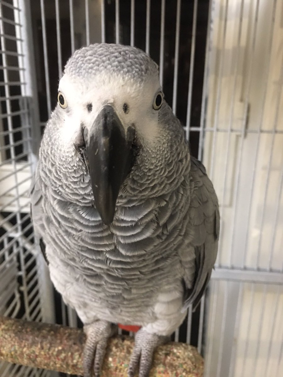 Negar👑 tweet media