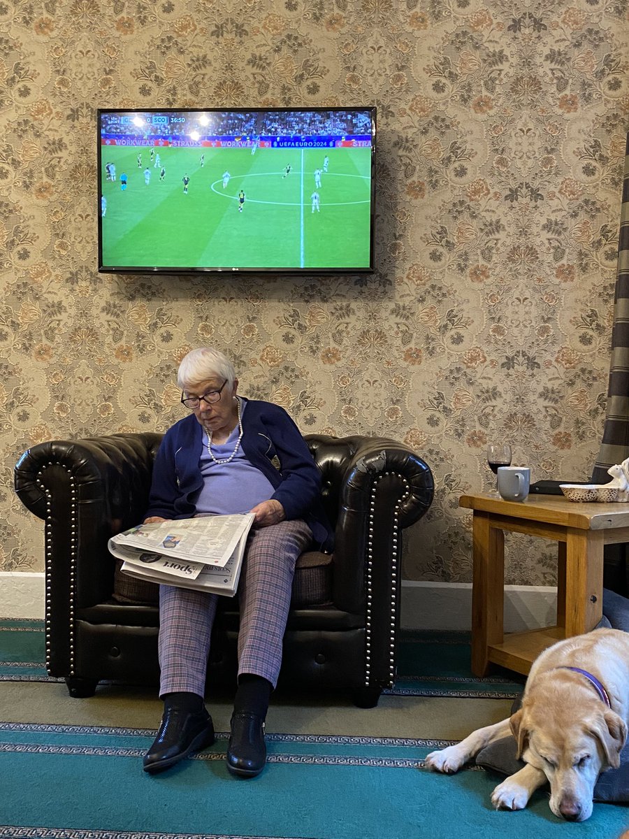 Granny is indifferent to the football @EURO2024 #GERSCO