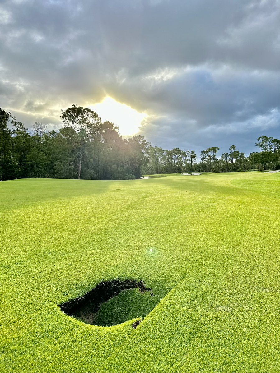 Reed Koehnlein tweet media