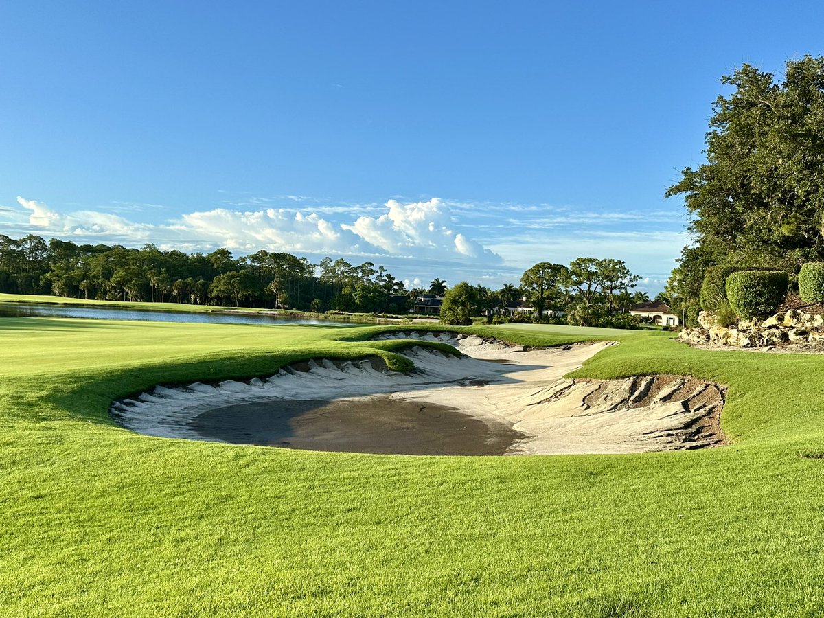 Reed Koehnlein tweet media