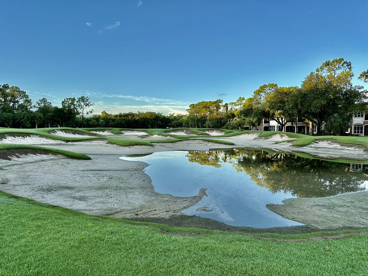 Reed Koehnlein tweet media