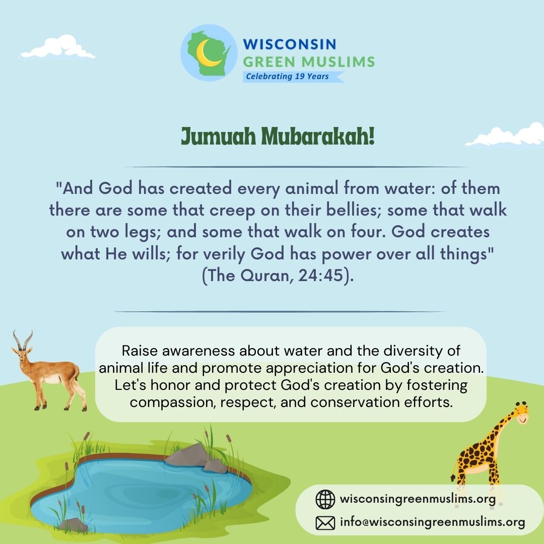 #Jumuah Mubarakah! Blessed Friday! wisconsingreenmuslims.org #JumuahMubarakah #Nature #Quran #Islam #Faith #WisconsinGreenMuslims #WIGreenMuslims #Wisconsin #Water