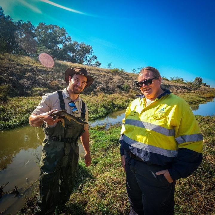 Two Smooth Marrons have been monitored at the Harvey River in South-West WA, the first sighting of its kind since 2021. 🙌 Monitoring is a key component of the Harvey River Ecosystem Restoration Monitoring program funded by the Alcoa Foundation. 🤝 More at bit.ly/3ZVn0nh
