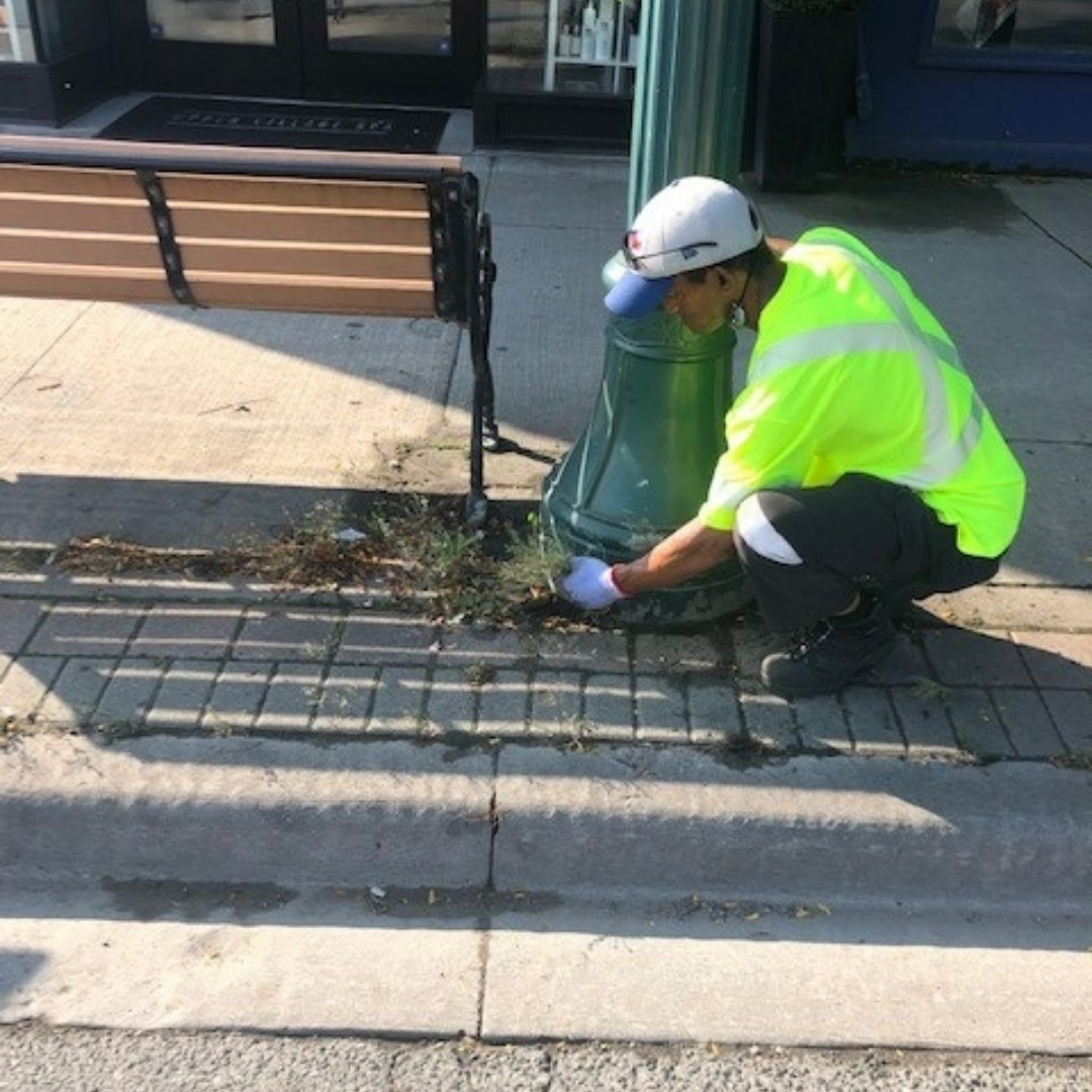 cityoftoronto's tweet photo. City staff will be out and about tomorrow making our streets beautiful. 💙
From 6:30am to 6:30pm, 121 #CityOfTO staff will be sweeping streets, trimming walkways, removing weeds and cleaning up litter.
If you see them, feel free to say ‘hi’. 👋
#TeamToronto https://t.co/VHyRNVLyRd