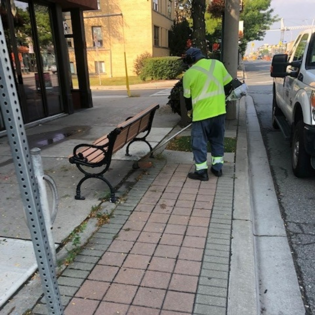 cityoftoronto's tweet photo. City staff will be out and about tomorrow making our streets beautiful. 💙
From 6:30am to 6:30pm, 121 #CityOfTO staff will be sweeping streets, trimming walkways, removing weeds and cleaning up litter.
If you see them, feel free to say ‘hi’. 👋
#TeamToronto https://t.co/VHyRNVLyRd