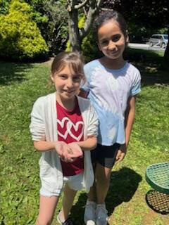 Worrall Second Grade Butterfly Project!