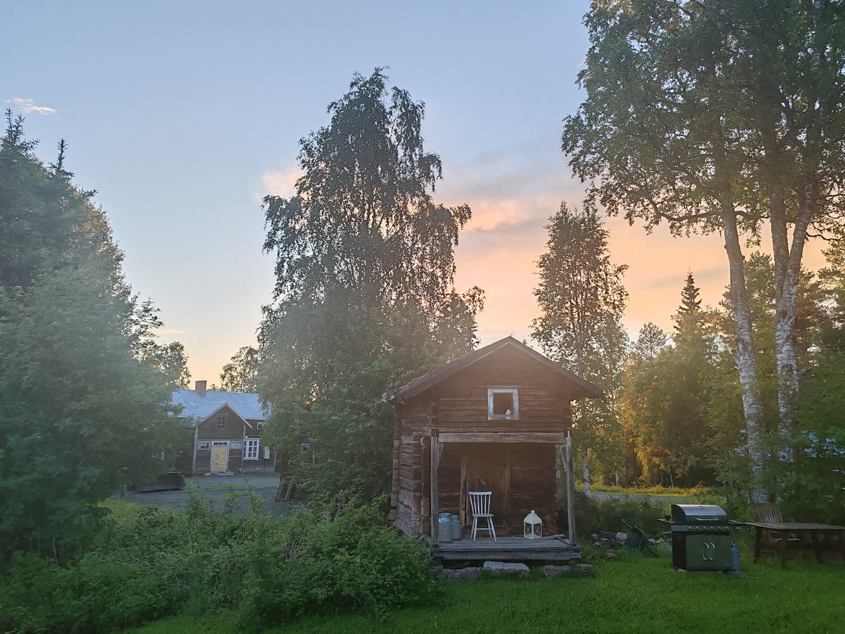 The midnight sun 😎