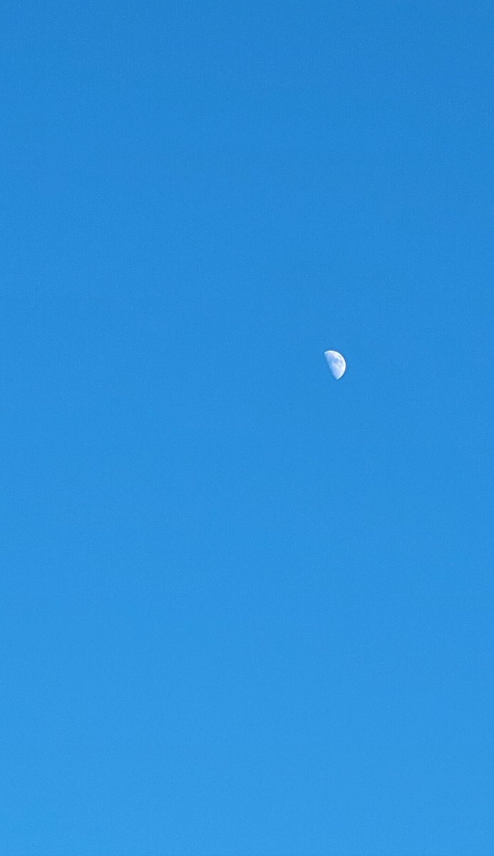 Noles31BB's tweet image. Friday night #fishfry in Wisc.  Just a little #NashvilleHot vs fried Cod, thoughts? Summer is here....