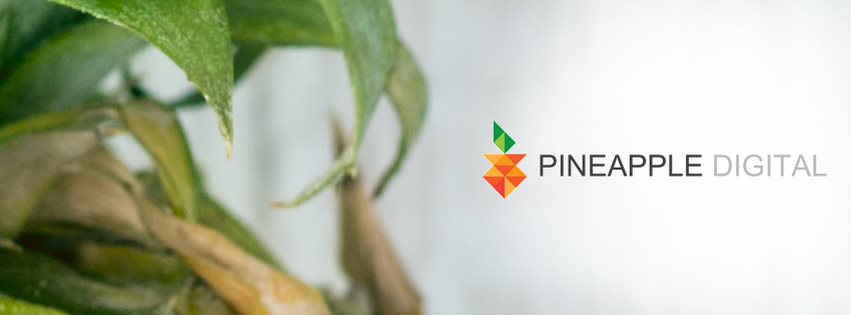 パイナップルデジタルは今年で10周年を迎えます。  素晴らしいコンピレーションのリリースが進行中ですが、新しい素材が必要です。したがって、このレーベルからリリースしたプロデューサーは、この 10 周年記念イベントに参加することができます。 

参加を希望するプロデューサーは、私に直接 PM