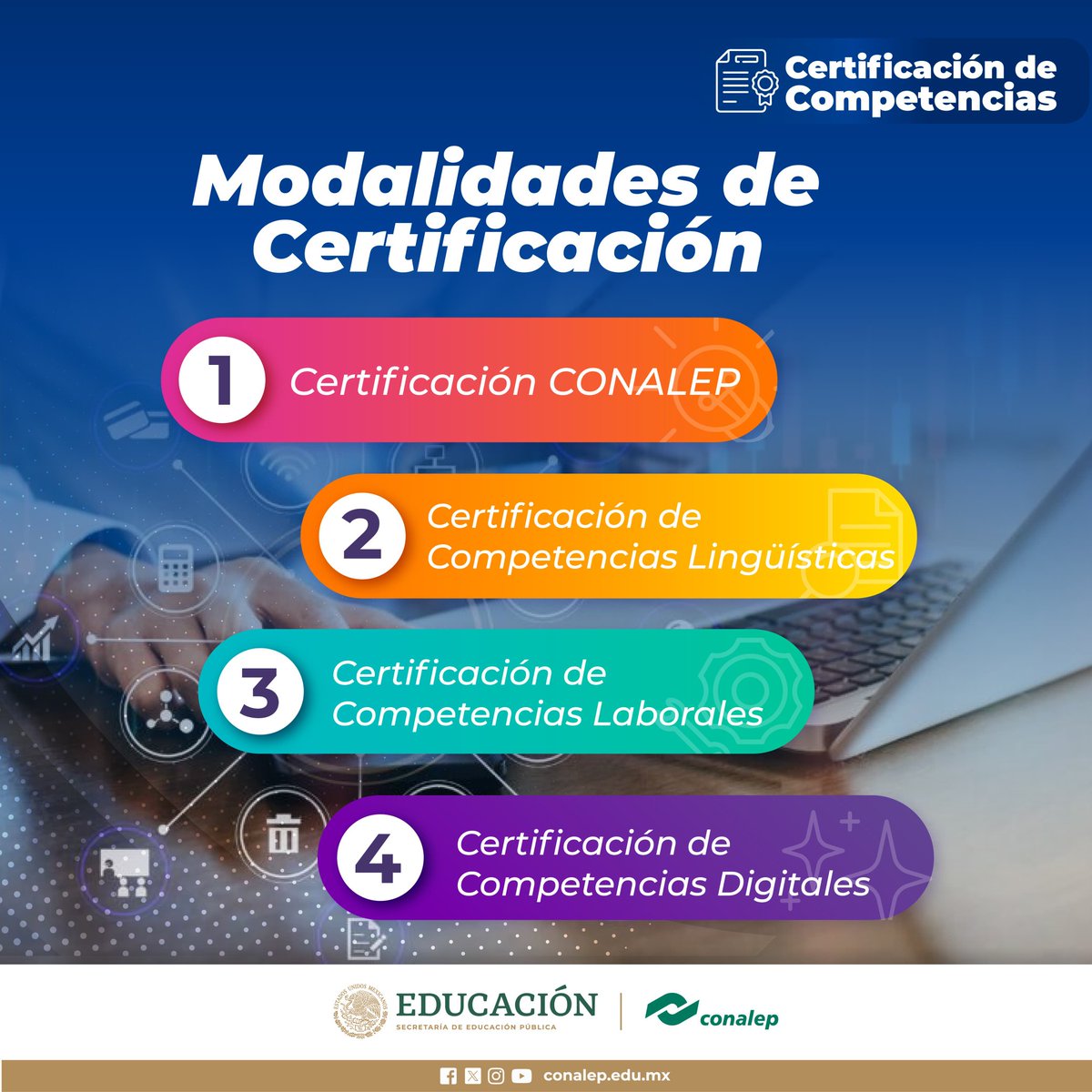 💚Conalover's, estás  son nuestras Modalidades de certificación de competencias. 

#Conalovers 
#OrgullosamenteCONALEP 

Conalep Cuautla 
Conalep Cuernavaca 
Conalep Jiutepec Calera Chica 
Conalep Temixco 
Conalep Tepoztlán