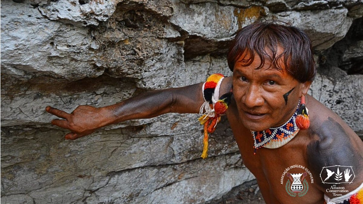 Amazon Conservation Team Brasil tweet media