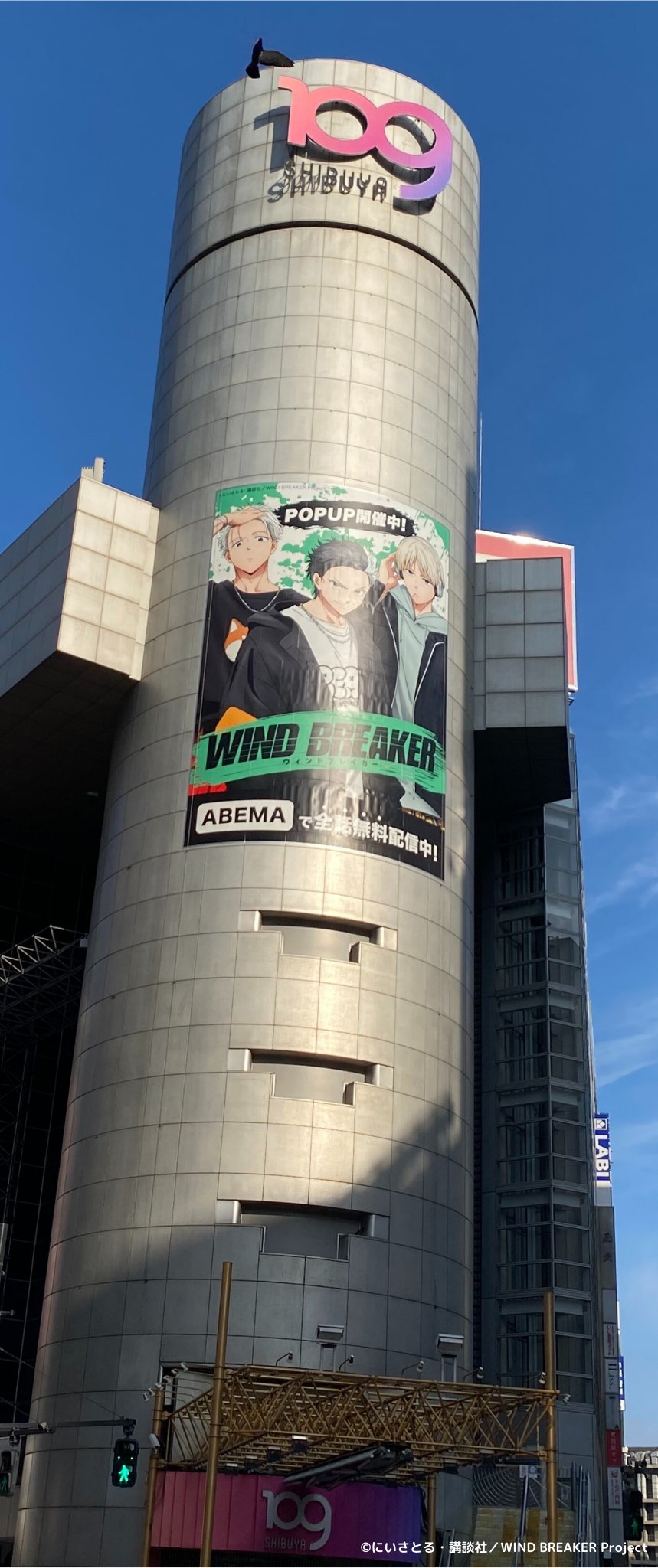 【新品未開封】BEEDEN 渋谷109POPUP限定ノベルティ 新品未開封】BEEDEN 渋谷109POPUP限定ノベルティ最高