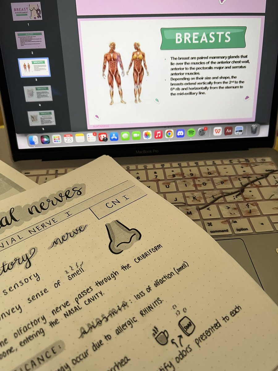 ideateyboo's tweet image. Tey here lf #studytwtph moots !! 

𐰁 about me! 
     ✭ she/her, 21, incoming 2nd year student
     ✭ student leader, dancer, nursing student studied in Ateneo de Davao University
     ✭ future nurse and OB doctor
     ✭ likes kpop, kdrama,cars, matcha

♡/↻ to be moots