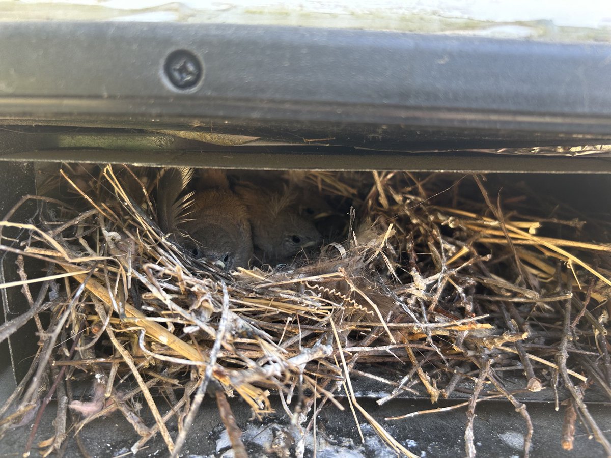 stuartkirsch's tweet image. May the blessings of Shabbat bring us each closer to peace and wholeness. Let us build our broken world from love. #ShabbatShalom