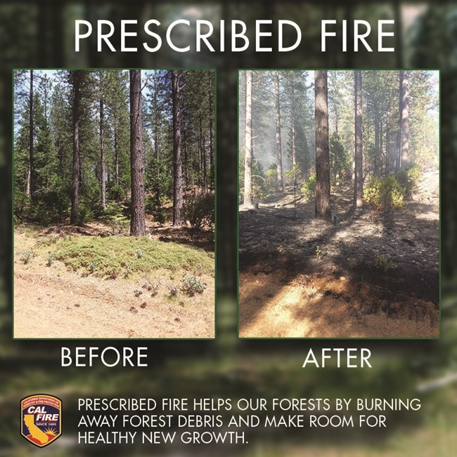 CAL_FIRE's tweet image. Ever heard of prescribed fire, also known as beneficial fire? 

It’s not just about flames; it’s about ecological improvement. Let’s dive in:

1. Nutrient Cycling and Ecosystem Health:
• When beneficial fire practitioners perform a prescribed or cultural burn, the goal is to…
