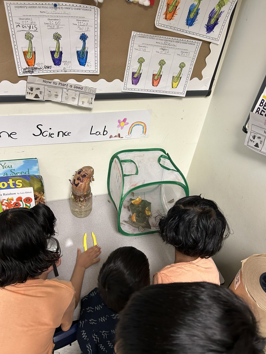 Ms. Mitchell tweet media