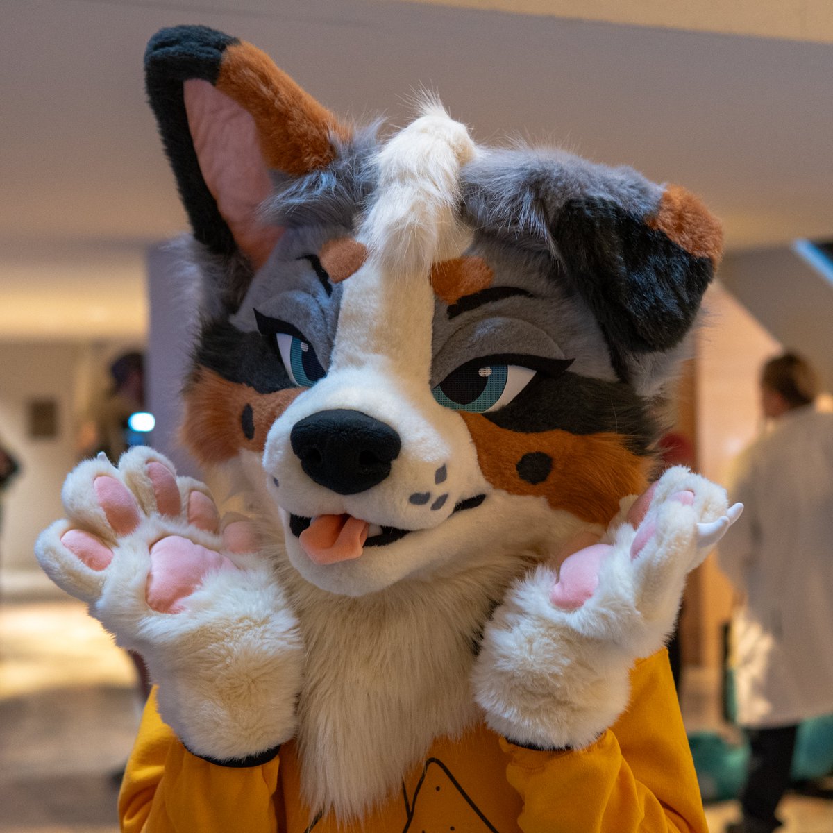 ─── ⋆⋅🐶⋅⋆ ───
📸 <a href="/intrufox/">intru</a> 
🪡 <a href="/AlphaLyncis/">🌜Alpha Lyncis Fursuits🌛</a> 
─── ⋆⋅🌮⋅⋆ ───
Happy #FursuitFriday!!