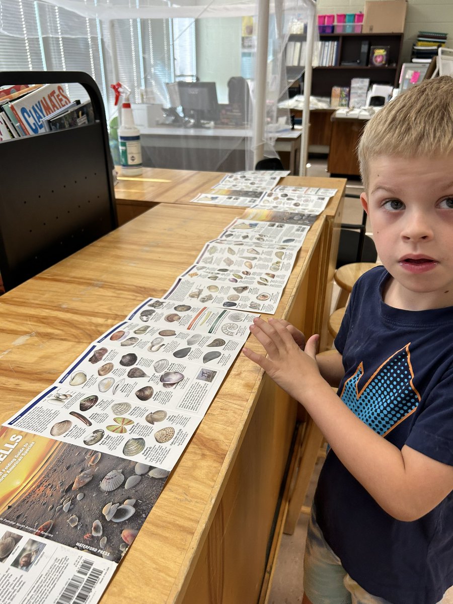 Glenwood Elementary (@glenwoodcubs) on Twitter photo Exploring ocean animals that live in shells and using shell identification sources to find out which animal used those shells. <a href="/ORSchools/">Oak Ridge Schools</a> <a href="/orpsef/">ORPS Ed. Foundation</a> <a href="/WBESbears/">Willow Brook Elementary School</a> <a href="/LindenLion/">Linden Elementary</a> <a href="/WoodlandHawks/">Woodland Elementary</a> Exploring ocean animals that live in shells and using shell identification sources to find out which animal used those shells. <a href="/ORSchools/">Oak Ridge Schools</a> <a href="/orpsef/">ORPS Ed. Foundation</a> <a href="/WBESbears/">Willow Brook Elementary School</a> <a href="/LindenLion/">Linden Elementary</a> <a href="/WoodlandHawks/">Woodland Elementary</a>