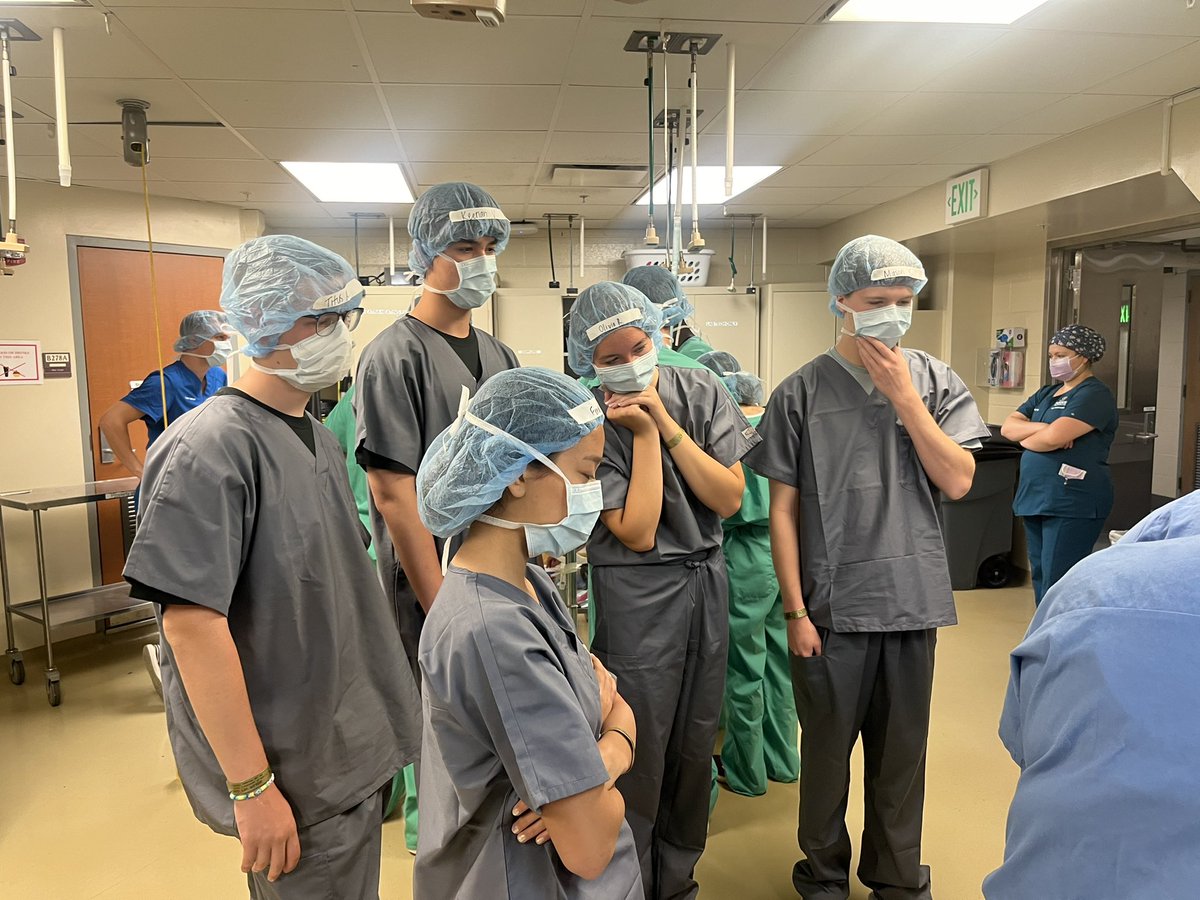 BoilerVetCamp's tweet image. Fendi got to hold some supplies for the Vet Nurses! #TeamDiesel