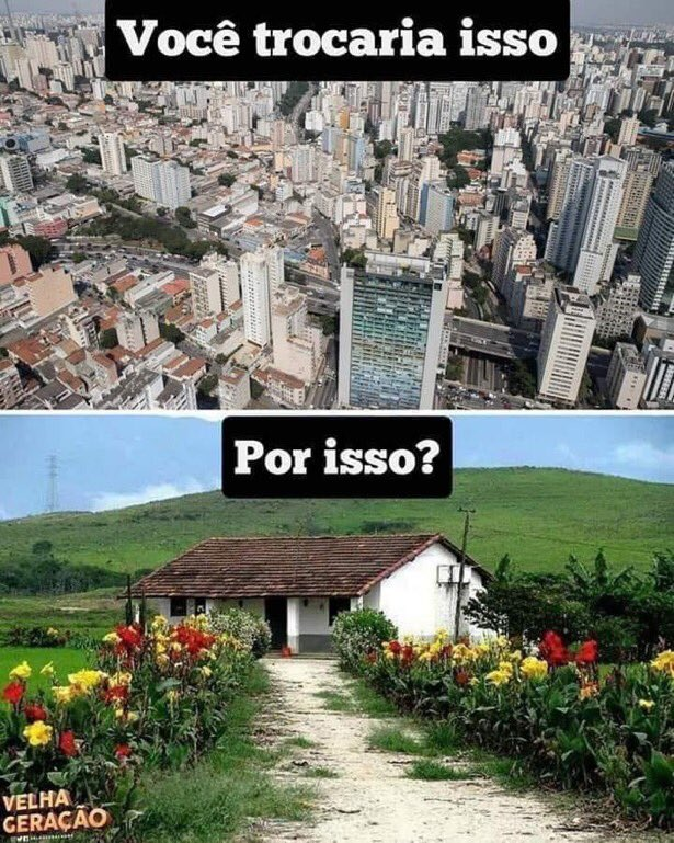 Não Intendo tweet media