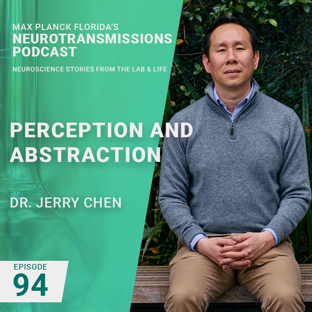 Max Planck Florida Institute for Neuroscience (@mpfneuro) on Twitter photo #Podcast episode 94 is out! We chat with <a href="/BU_Biology/">BU Biology</a> Associate Professor Dr. Jerry Chen, about how the brain can make sense of our complex sensory-filled world. Listen on your favorite podcast platform or watch on YT: youtu.be/FL5xIVoeH8M #Podcast episode 94 is out! We chat with <a href="/BU_Biology/">BU Biology</a> Associate Professor Dr. Jerry Chen, about how the brain can make sense of our complex sensory-filled world. Listen on your favorite podcast platform or watch on YT: youtu.be/FL5xIVoeH8M