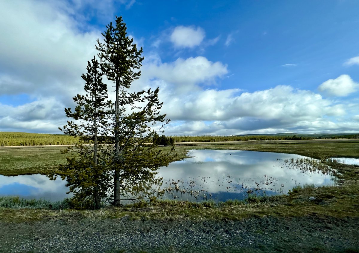 LizzieHelenMay's tweet image. #aSundayreflection - a beguiling pool in Yellowstone