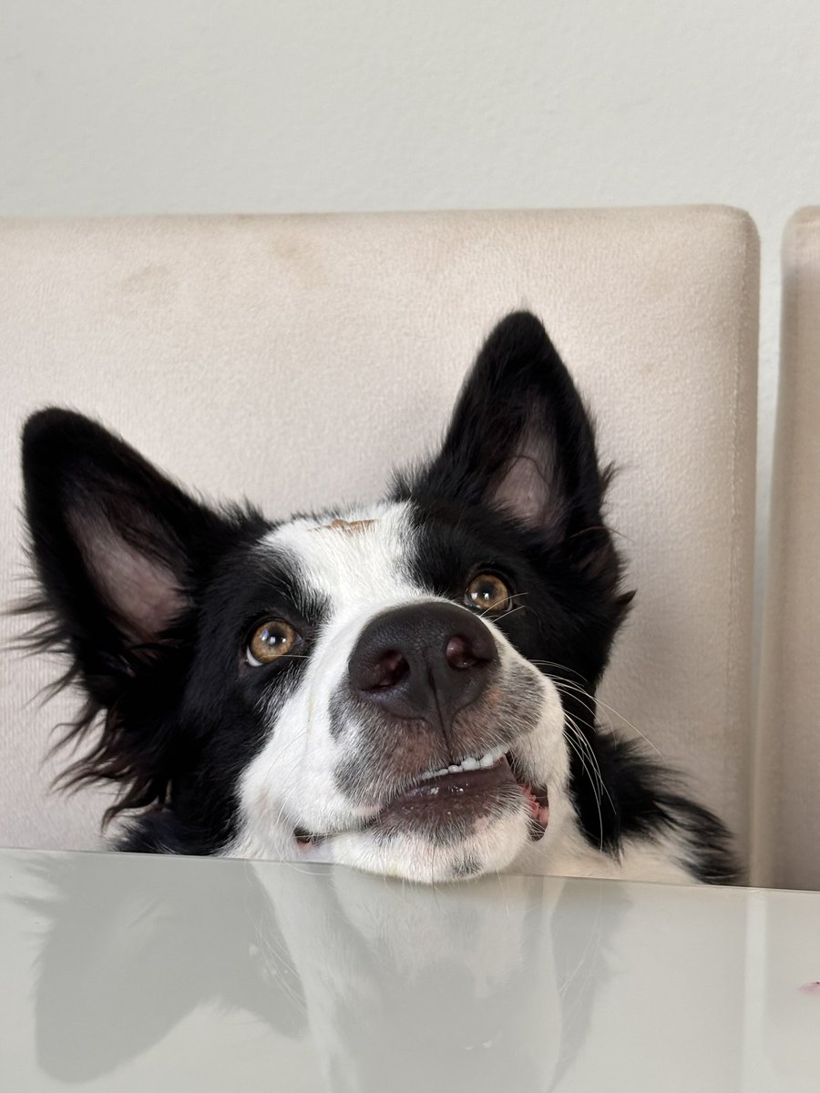 hoje é sexta dia de atrocidades e malvadezas
(vou ficar em casa)