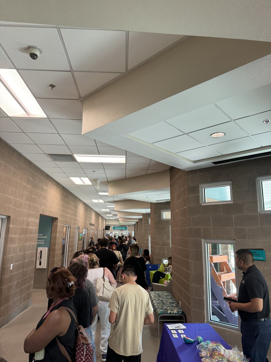 VegasMike's tweet photo. Yeah, I’d say Las Vegas showed up to help out at the @animalfndlv today 💪

This is the line for fostering a dog. 

@VegasIssues @JacobsVegasLife https://t.co/qFhA2o0KRr