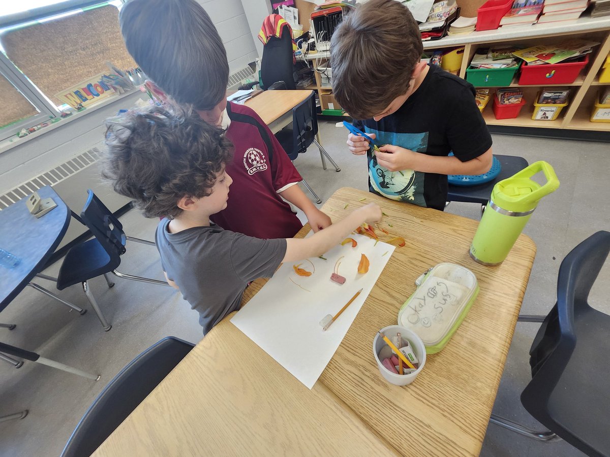 Lily dissection today <a href="/GlenwoodGriffin/">Glenwood Griffins</a>! Can you find the pistil, stamen, petal, anther, filament and sepal? Thank you <a href="/mrsvreman/">Amy Vreman</a> for supplying us the lilies. #handsonlearning @inquirers <a href="/ibpyp/">IB PYP</a>