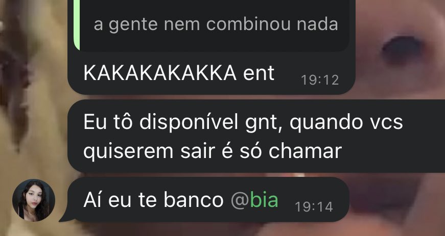 𝐛𝐢𝐛𝐢𝐬 tweet media