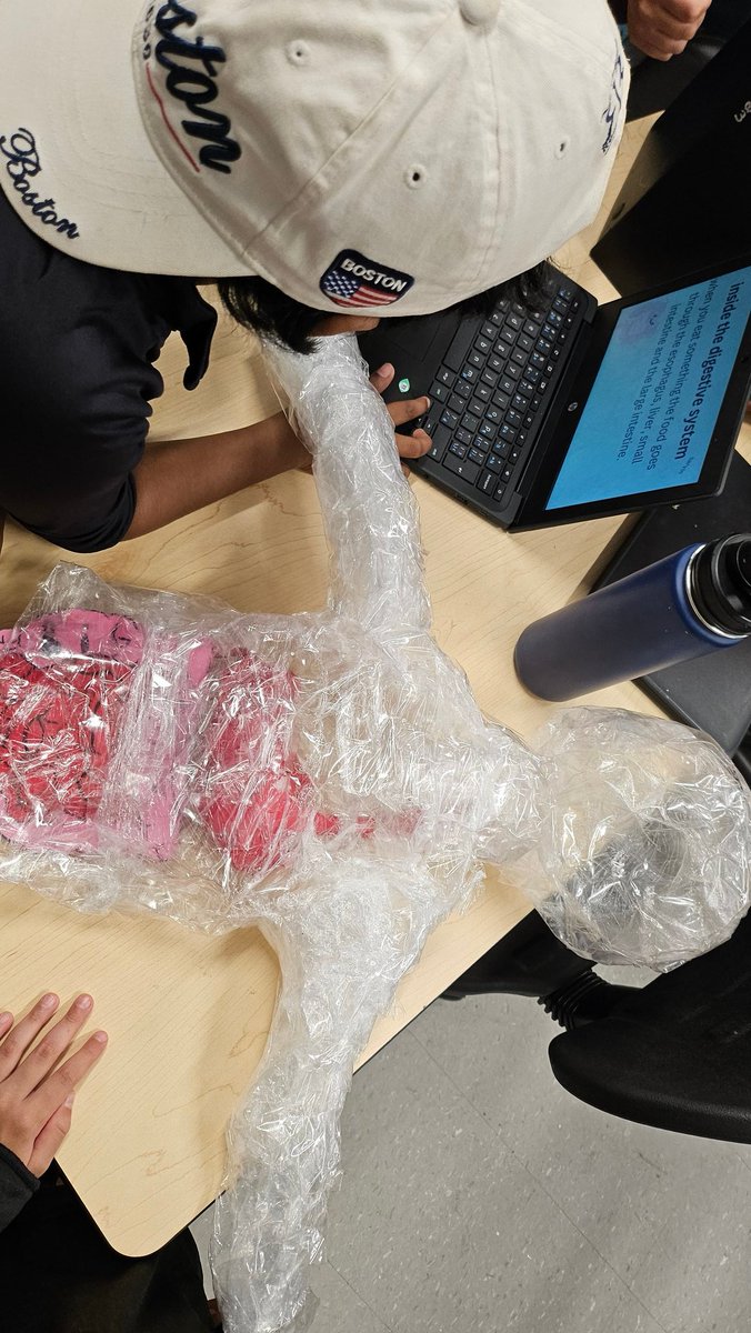 MrHennigar's tweet image. Students from @MrsMacLeodsRoom's crew and my class each took some time to admire and appreciate the hard work put into these human body projects. They were so much fun to make! #MakerEdNS