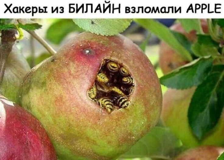 human!Звёздный экспресс. (@sunshines72481) on Twitter photo 