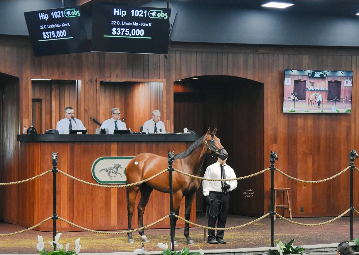 What a way to end the sale! 🎉 Best of luck and a huge thank you to buyer Marc Tacher. I wish him all the success in the world! 🍀 And so thankful for my great partners ⁦<a href="/tamibobo2024/">Tami Bobo</a>⁩ and Brian Graves and for the opportunity to train and sell this beautiful colt ❤️