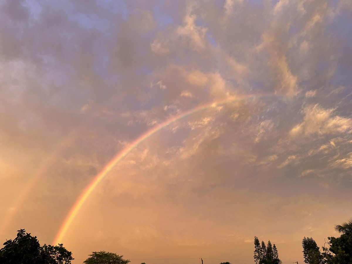 RunSpotsRun's tweet photo. @MarissaNBC6 @nbc6 I got some too https://t.co/LaWMpTW7dX