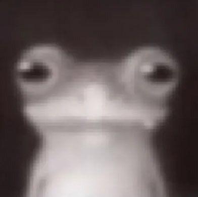 pitzcool_'s tweet photo. yo
https://t.co/7Np0BA4POD
https://t.co/7Np0BA4POD
https://t.co/7Np0BA4POD

ON STREAM https://t.co/3K0Wy6cZcS