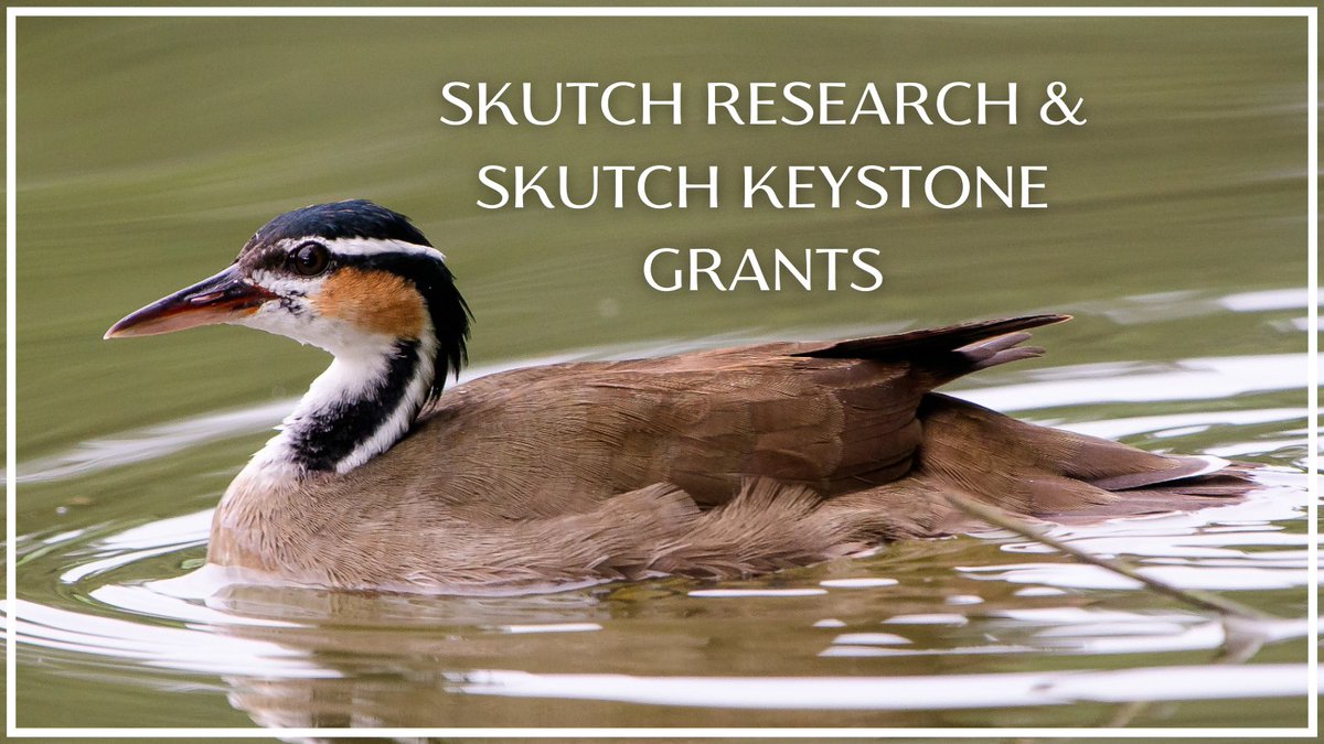 Association of Field Ornithologists tweet media