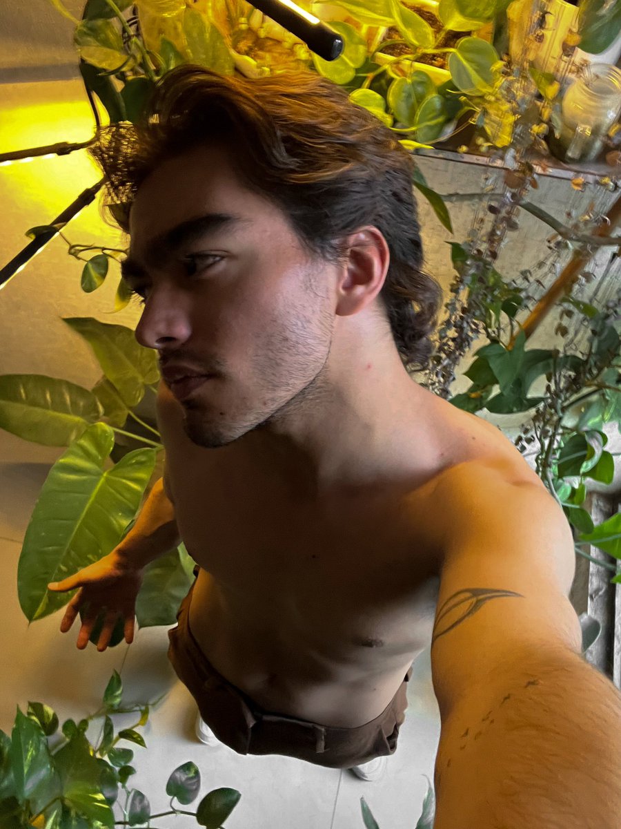 robertolcast's tweet photo. el vato de las plantas strike again 🫡 https://t.co/mxkRzcGugw