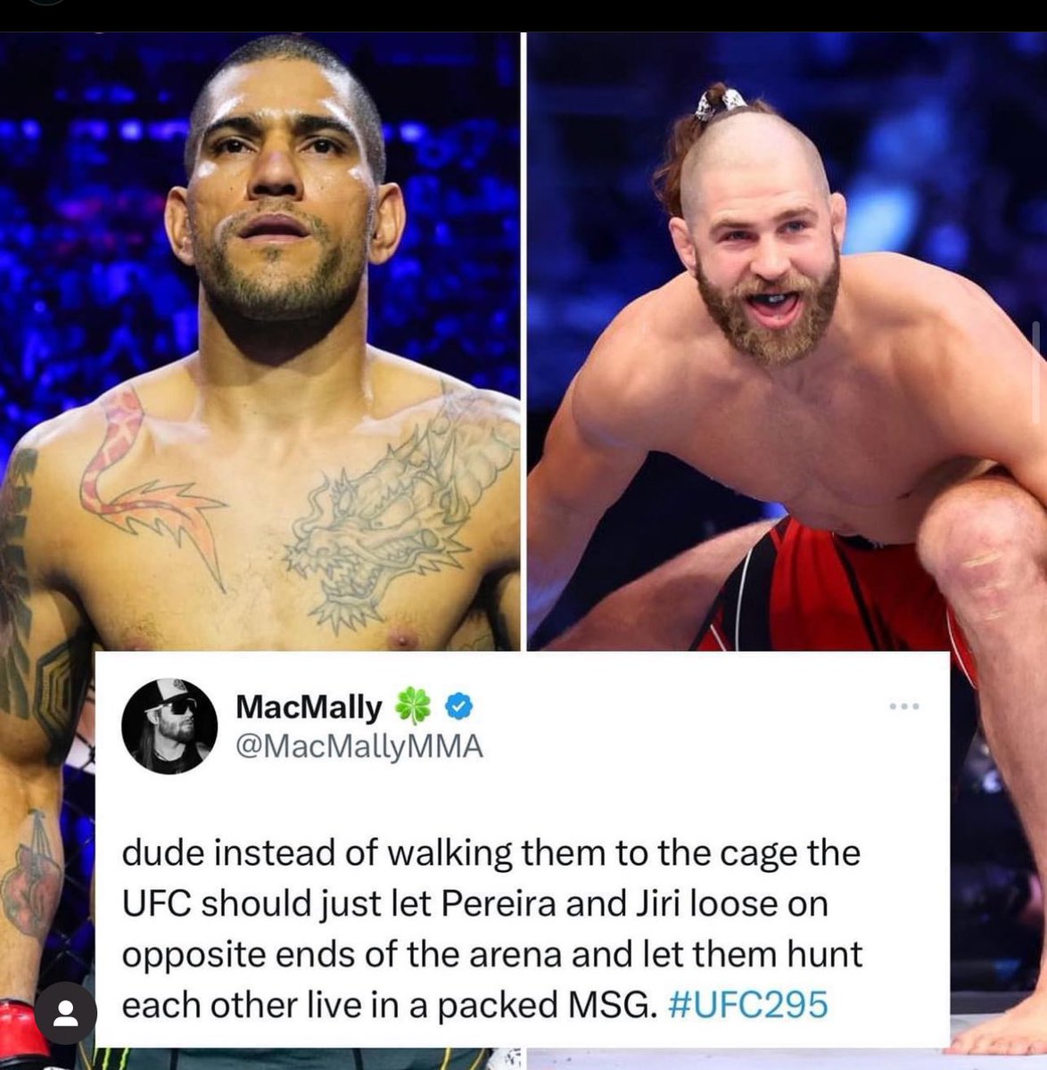 MacMally 🍀 tweet media