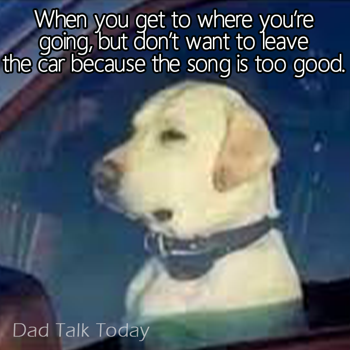 dadtalktoday's tweet image. #arrived #music #myjam