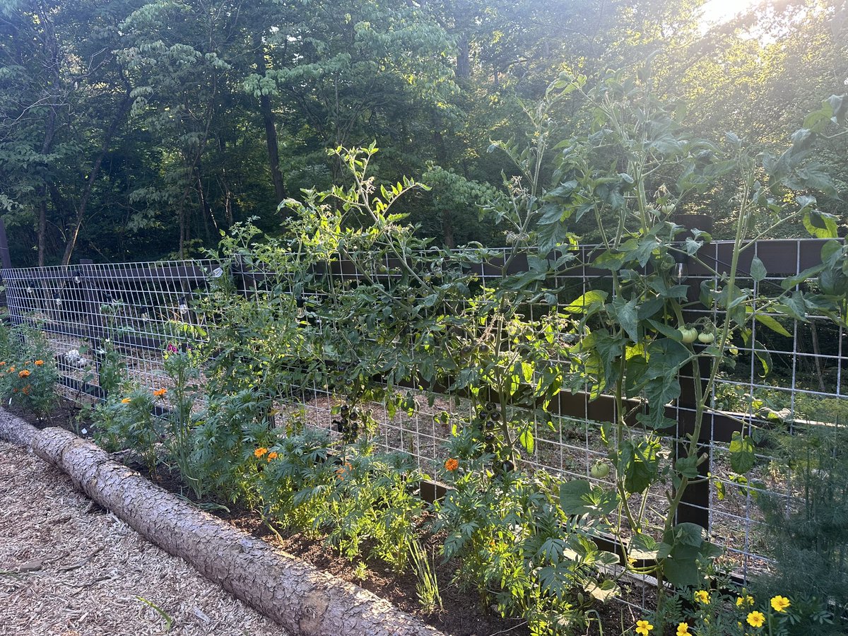 Grace 🔎 tweet media