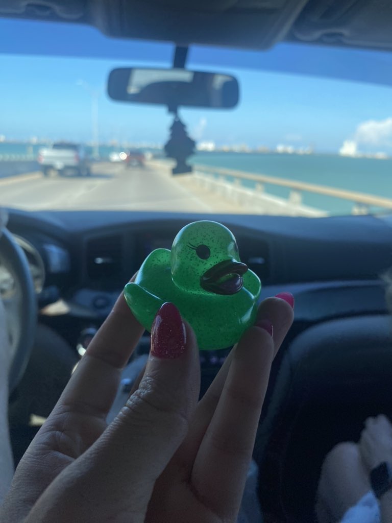 SydneySelman2's tweet photo. Road tripping! #SkyhawkPride #SkyhawkSummer https://t.co/fFqIe0Yhuq