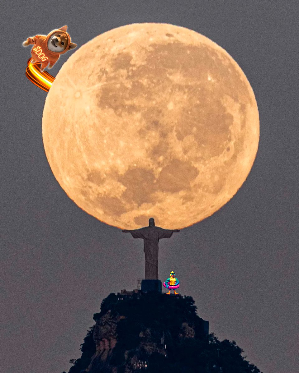 PATOS SÃO PÉ NO CHÃO.
 DOGS PISAM NA LUA!

$DOG

<a href="/LeonidasNFT/">Leonidas 🧡 $DOG</a> 
<a href="/DanielLCDuarte/">Daniel Duarte - Mestres dos Alphas</a> 
<a href="/dogdamassa/">DOG•DA•MASSA</a> 
@dogbtc_ 
<a href="/SnoopDogg/">Snoop Dogg</a>