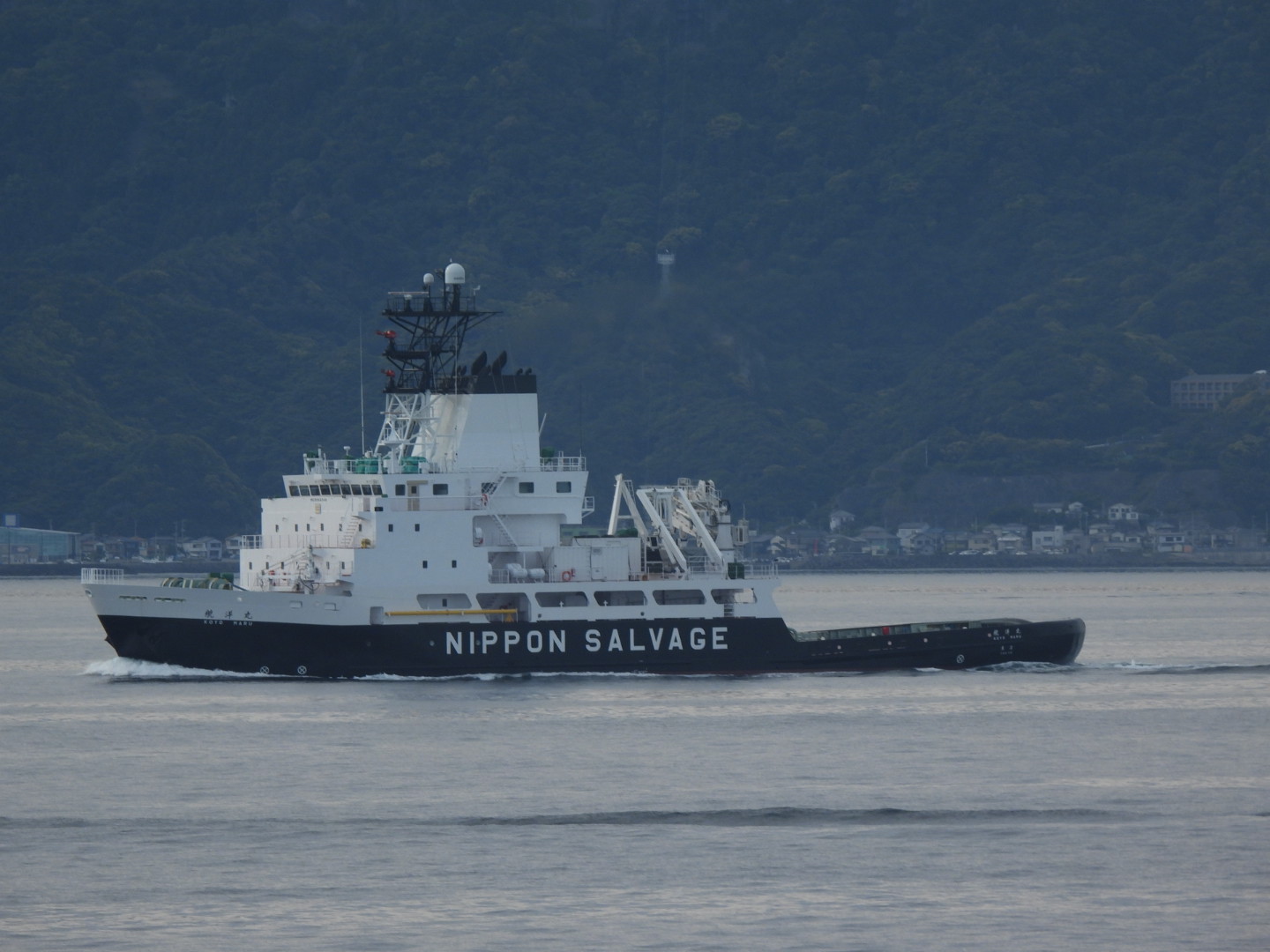 在日米軍 変貌する日米安保体制 (岩波新書) | 梅林 宏道 |本